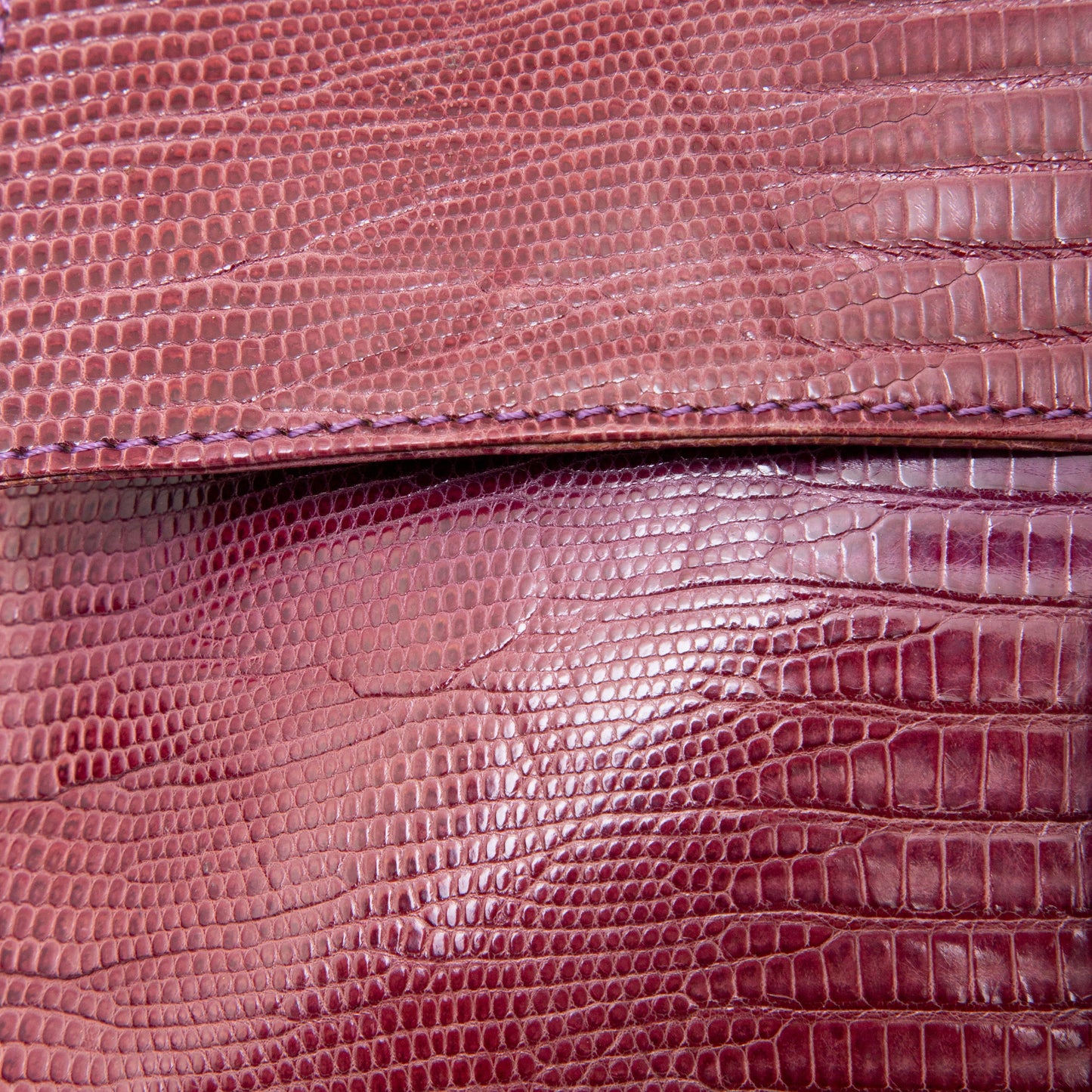 Fendi Lizard Baguette - '00s