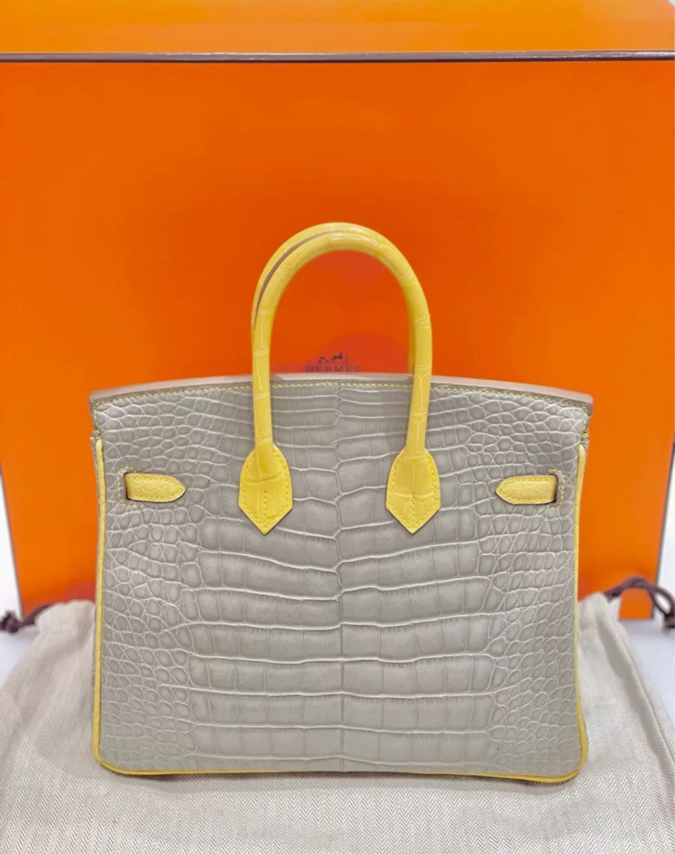 Hermès Birkin 25 Gris Perle and Mimosa Matte Alligator Brushed Gold Hardware
