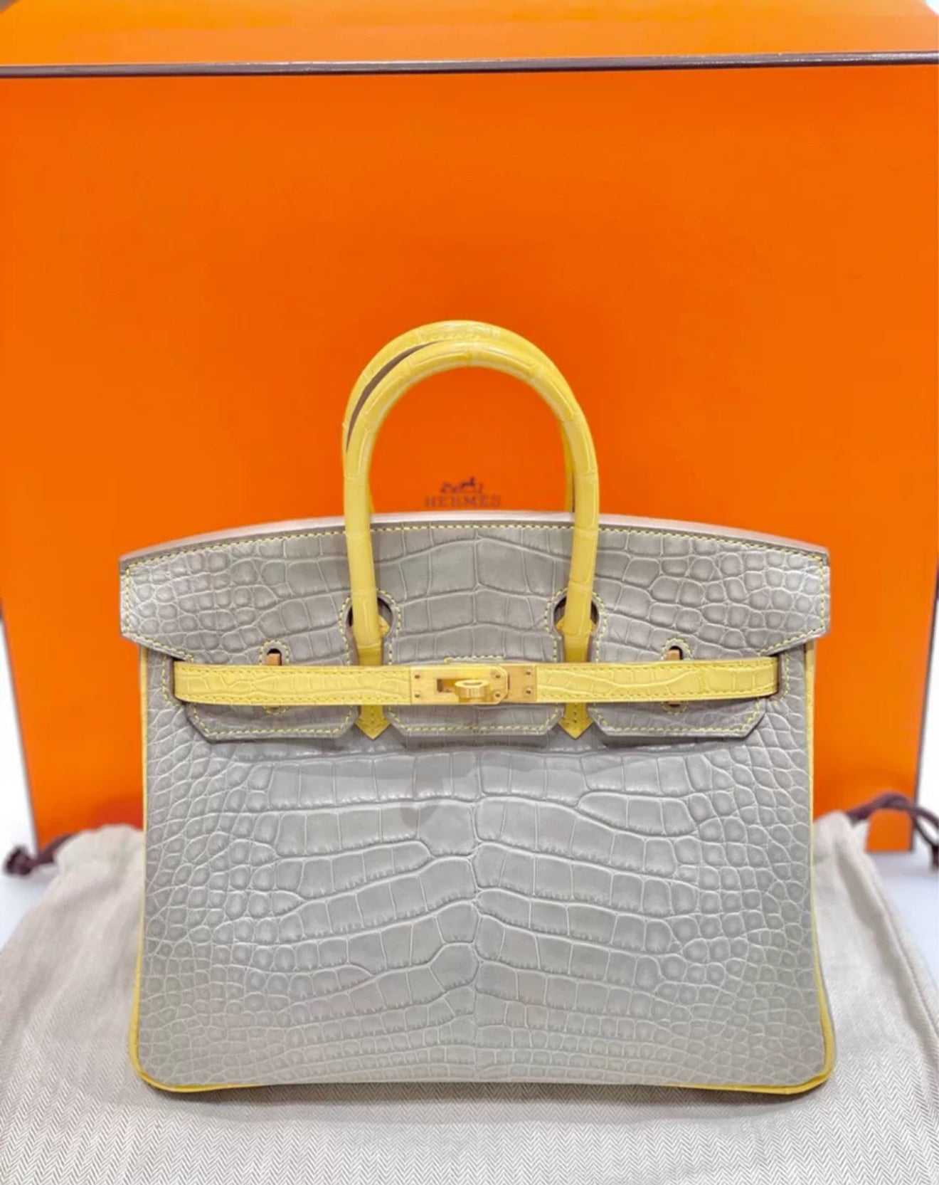 Hermès Birkin 25 Gris Perle and Mimosa Matte Alligator Brushed Gold Hardware