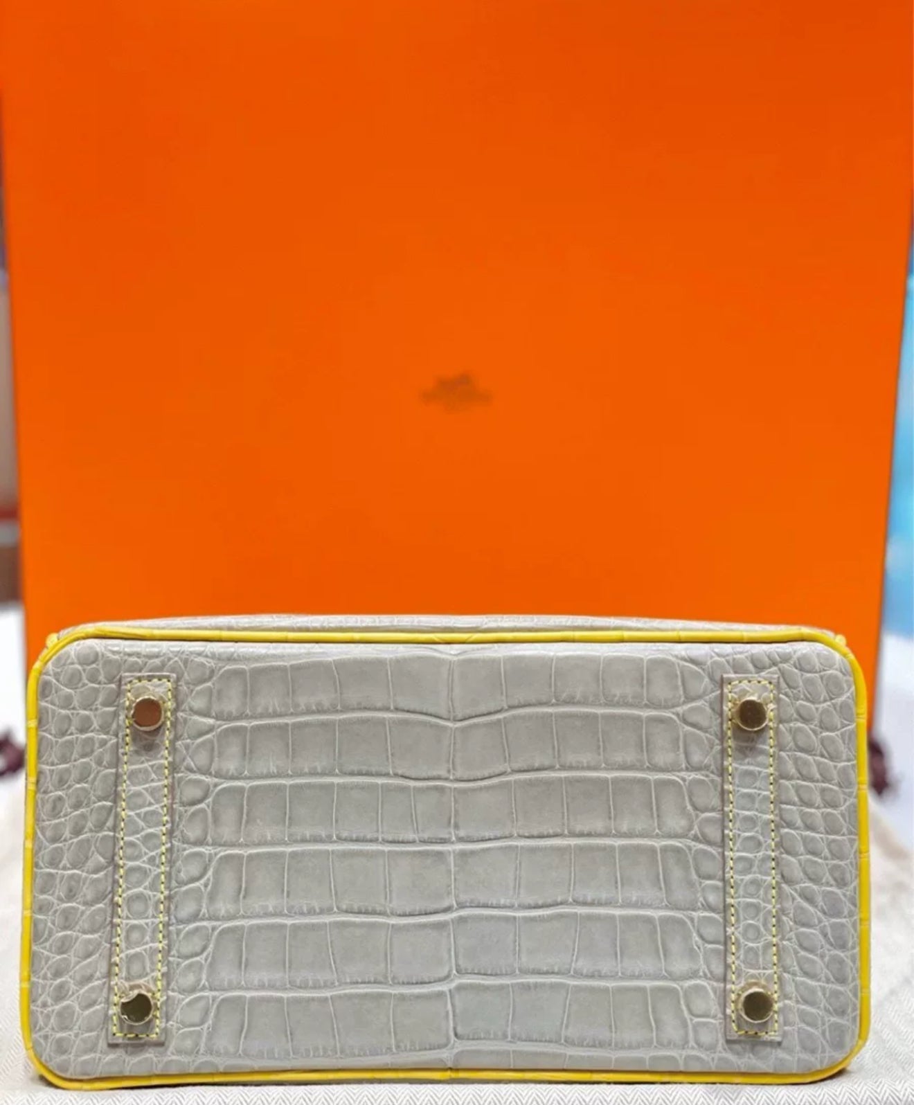 Hermès Birkin 25 Gris Perle and Mimosa Matte Alligator Brushed Gold Hardware